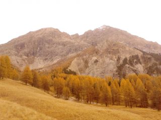 il furgon salendo