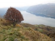 bello scorcio sul lago