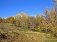 Verso il Bertrand