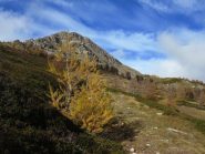Verso il Betrand