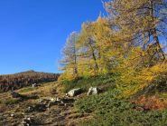 Sul crinale in salita e dietro il Missun