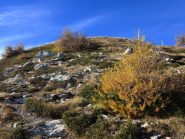 Verso il Missun