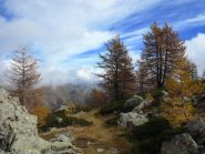 Quadretto autunnale dalle Navette