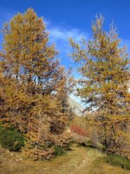 Quadretto autunnale dalle Navette
