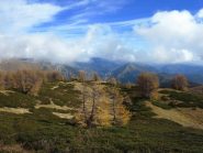 Quadretto autunnale dalle Navette