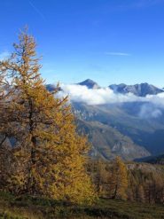 Quadretto autunnale dalle Navette