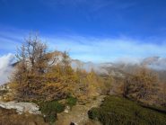 Quadretto autunnale dalle Navette