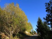 Lungo la strada iniziale