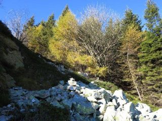 Uscendo verso il Dubasso