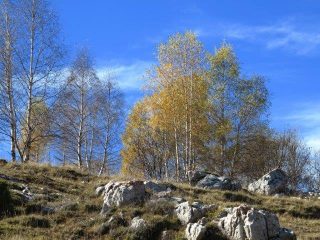 Colori dall'Armetta
