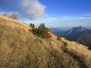 Colori dall'Armetta