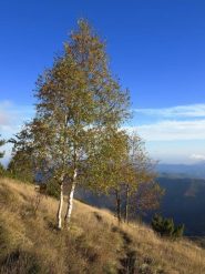 Sul sentiero per Madonna del Lago