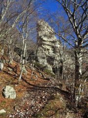 Roccione gnomo lungo il sentiero nel bosco