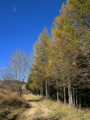 Colori dall'Armetta