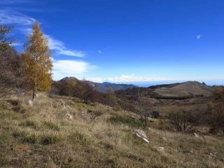 Salendo da Pian del Colle