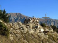 Incontri lungo la strada