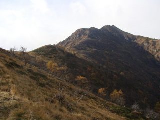 siamo già a buon punto