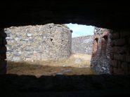 Forte pepino, interni