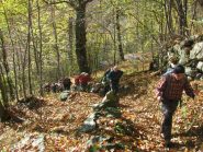 Si inizia a salire nel bosco