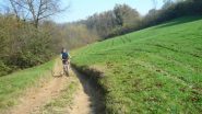 fra le colline Astigiane