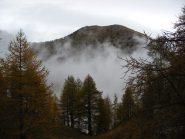M.Grai dalla salita verso il Pietravecchia