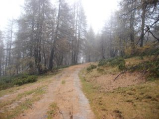neve e vento gelido