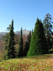 c'e anche il Mucrone