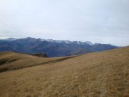 Colla Vaccarile