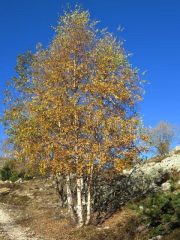 Colori lungo la salita