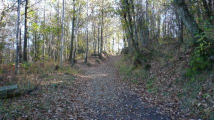 sulla mediana della Serra Morena