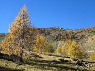 Si sbuca sulla strada delle Navette