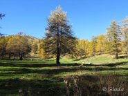 La radura con le vasche dell'acqua dove si sbuca sia col sentiero che con la tagliola
