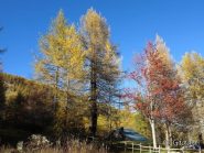Chalet Manfredi immerso nell'autunno