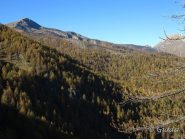Bertrand e bosco delle Navette