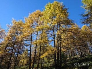 Cartolina autunnale dalle Navette
