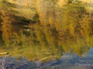 Riflessi