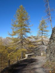 La strada delle Navette