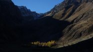 Verso il Talarico