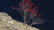 Autunno