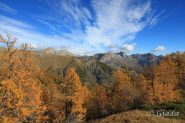 Cartoline dalle Alpi Liguri