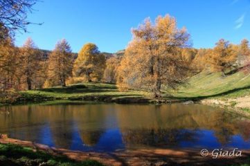 Laghetto al Poggio Lagone