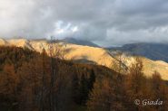 Cartoline dalle Navette