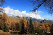 Cartoline dalle Navette
