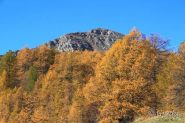 Cartolina dal Bertrand