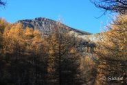 Cartolina dal Bertrand