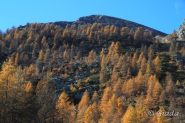 Cartolina dal Bertrand