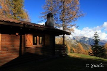 Chalet nel bosco