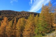 Missun e bosco delle Navette