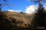 Cartoline dalle Navette