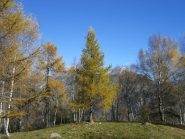 Il bel ripiano di Montat